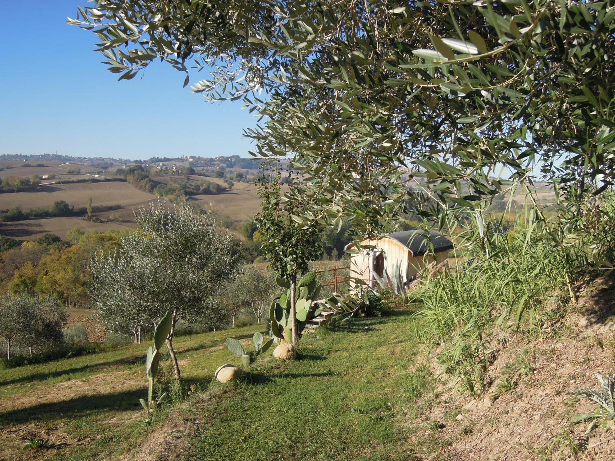La Luna Nell'Orto-Casa Vacanza Ecologica E Agricoltura Biodinamica Barchi Exteriér fotografie