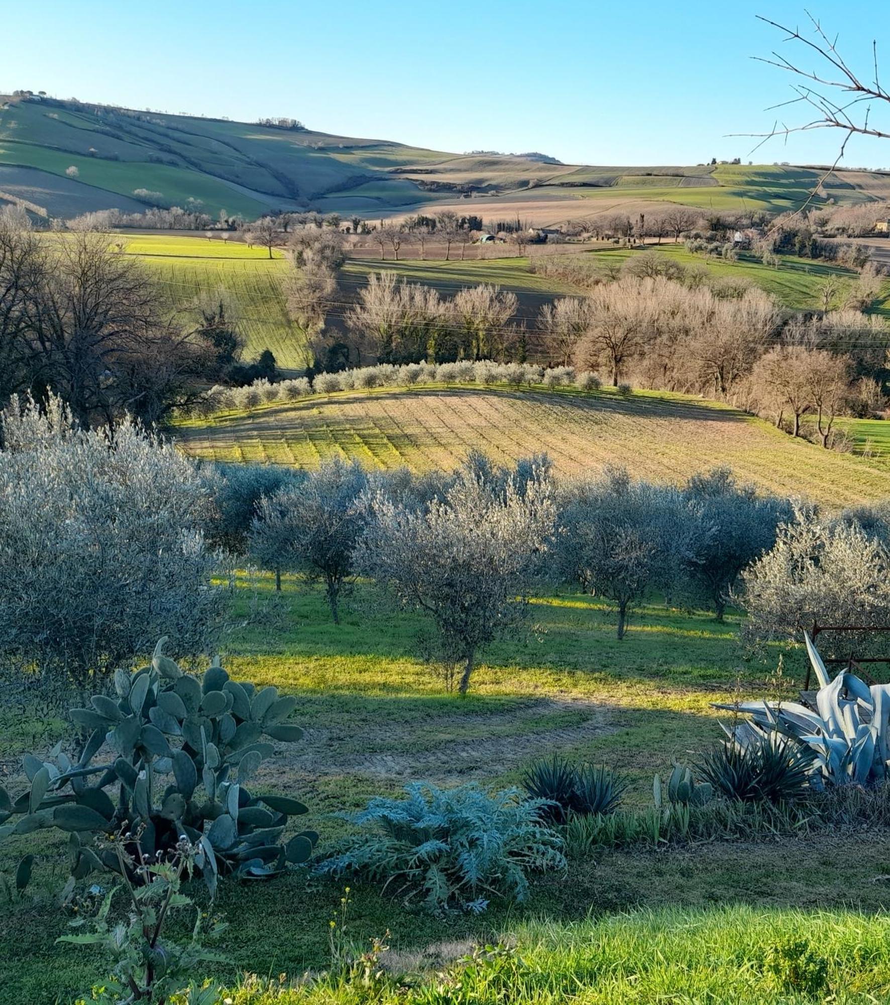 La Luna Nell'Orto-Casa Vacanza Ecologica E Agricoltura Biodinamica Barchi Exteriér fotografie